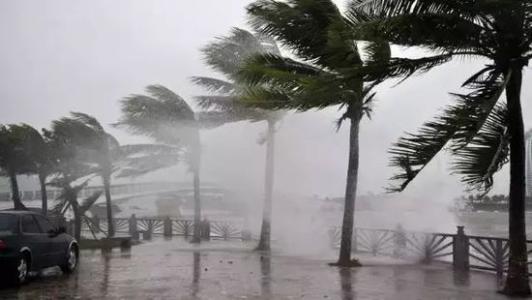 8月臺(tái)風(fēng)雨即將來(lái)，除濕機(jī)還得用起來(lái)