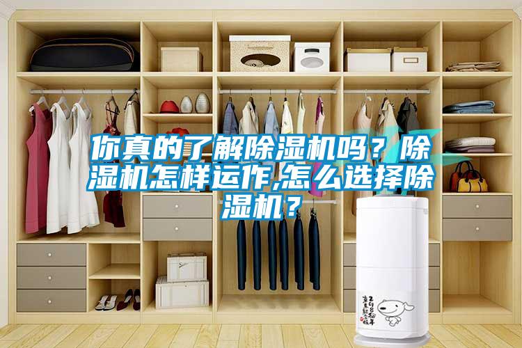 你真的了解除濕機嗎？除濕機怎樣運作,怎么選擇除濕機？