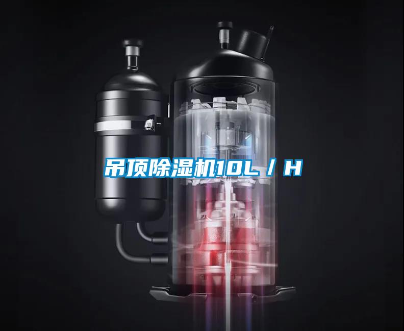 吊頂除濕機(jī)10L／H