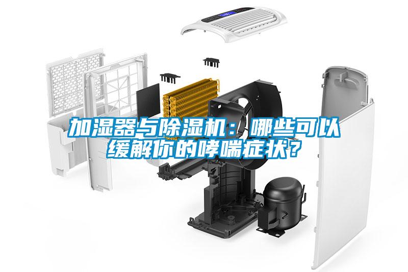 加濕器與除濕機：哪些可以緩解你的哮喘癥狀？