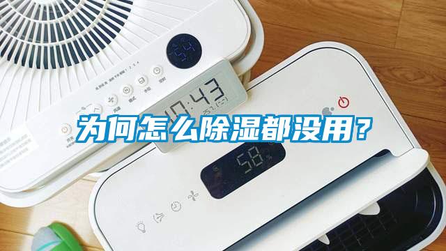 為何怎么除濕都沒用？