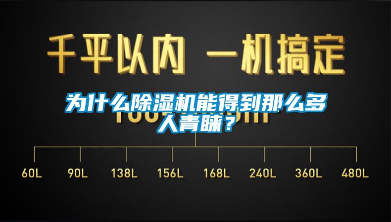 為什么除濕機能得到那么多人青睞？