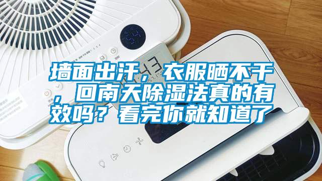 墻面出汗，衣服曬不干，回南天除濕法真的有效嗎？看完你就知道了