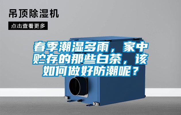 春季潮濕多雨，家中貯存的那些白茶，該如何做好防潮呢？