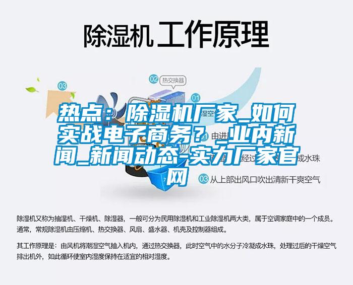 熱點：除濕機廠家_如何實戰(zhàn)電子商務？_業(yè)內新聞_新聞動態(tài)-實力廠家官網(wǎng)