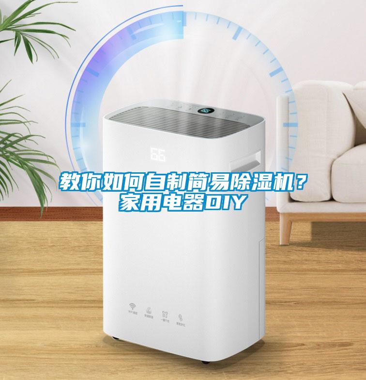 教你如何自制簡易除濕機？家用電器DIY