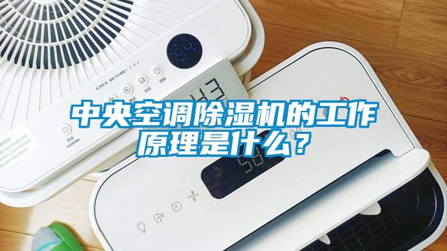 中央空調除濕機的工作原理是什么？