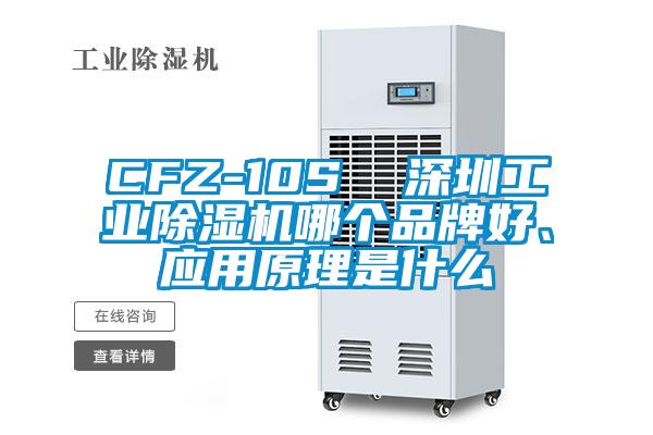 CFZ-10S  深圳工業(yè)除濕機(jī)哪個(gè)品牌好、應(yīng)用原理是什么