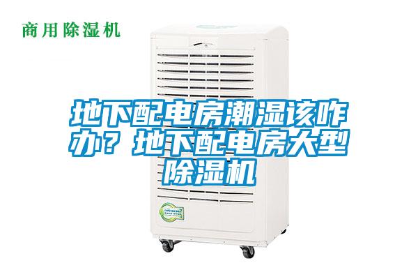 地下配電房潮濕該咋辦？地下配電房大型除濕機(jī)