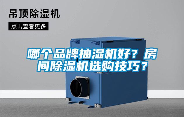 哪個(gè)品牌抽濕機(jī)好？房間除濕機(jī)選購技巧？