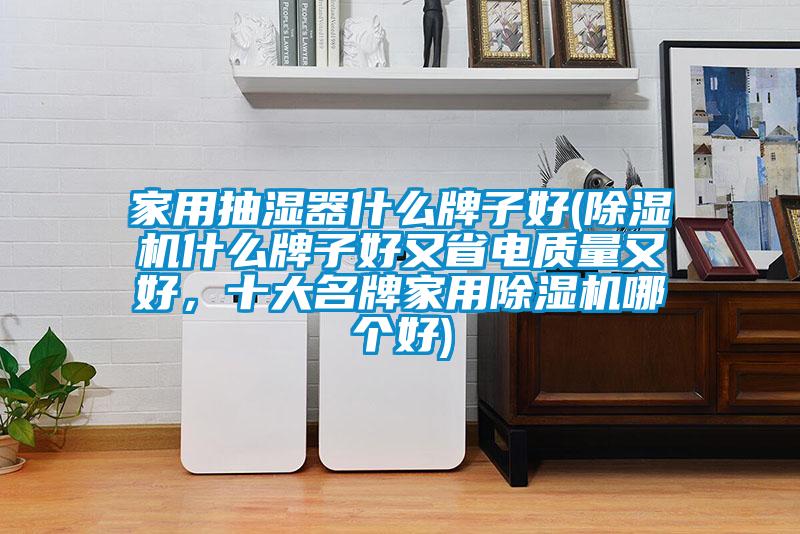 家用抽濕器什么牌子好(除濕機(jī)什么牌子好又省電質(zhì)量又好，十大名牌家用除濕機(jī)哪個(gè)好)