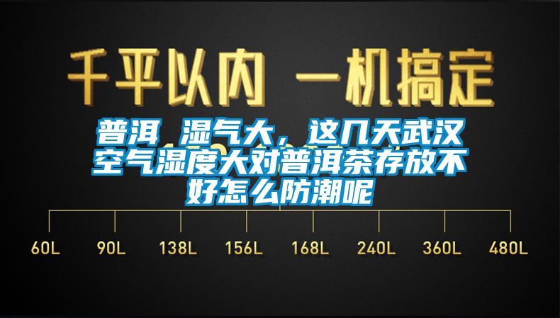 普洱 濕氣大，這幾天武漢空氣濕度大對普洱茶存放不好怎么防潮呢