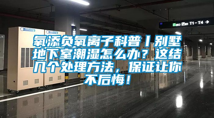 氧添負氧離子科普丨別墅地下室潮濕怎么辦？這結(jié)幾個處理方法，保證讓你不后悔！