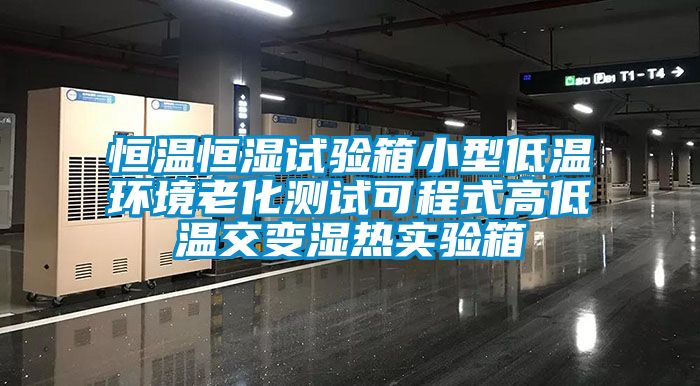 恒溫恒濕試驗(yàn)箱小型低溫環(huán)境老化測試可程式高低溫交變濕熱實(shí)驗(yàn)箱