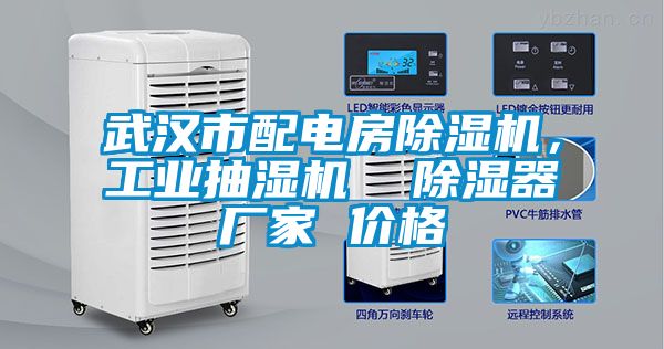 武漢市配電房除濕機(jī)，工業(yè)抽濕機(jī)  除濕器廠家 價(jià)格