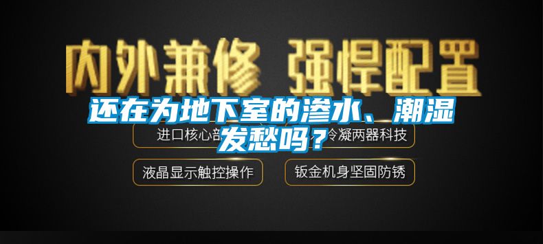 還在為地下室的滲水、潮濕發(fā)愁嗎？