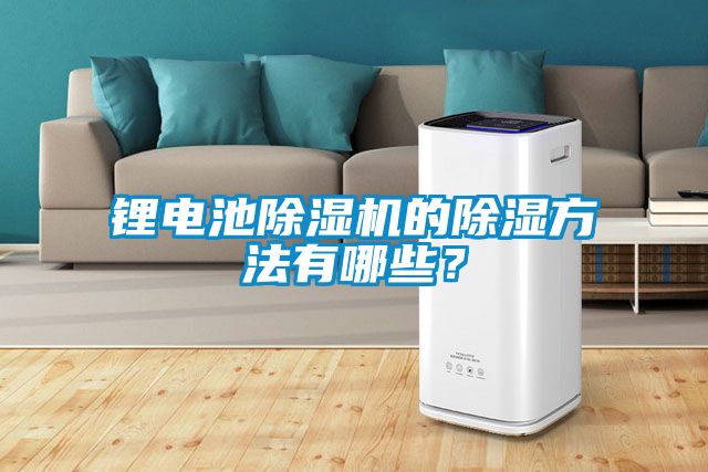 鋰電池除濕機的除濕方法有哪些？