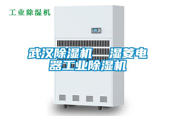 武漢除濕機  濕菱電器工業(yè)除濕機