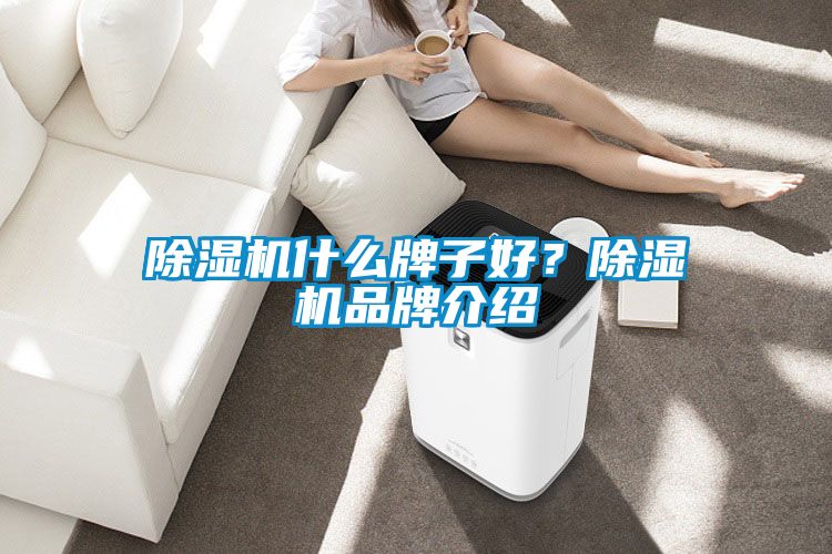 除濕機(jī)什么牌子好？除濕機(jī)品牌介紹