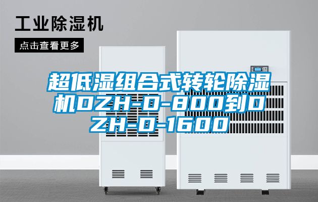 超低濕組合式轉(zhuǎn)輪除濕機DZH-D-800到DZH-D-1600