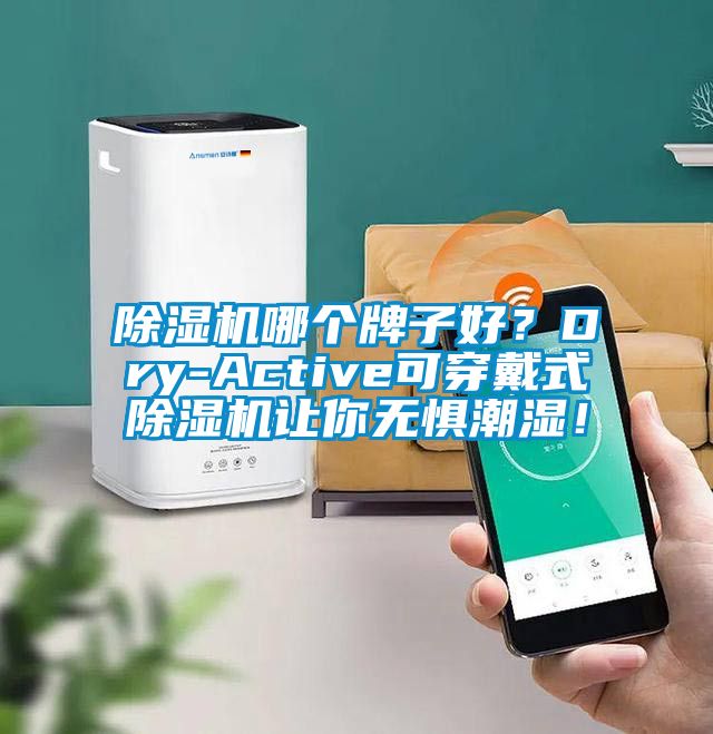 除濕機哪個牌子好？Dry-Active可穿戴式除濕機讓你無懼潮濕！