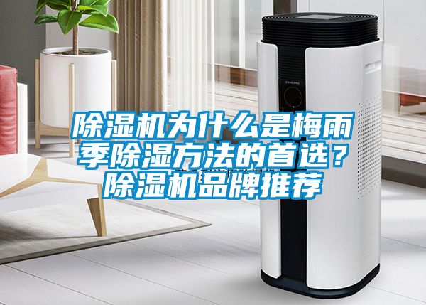 除濕機(jī)為什么是梅雨季除濕方法的首選？除濕機(jī)品牌推薦