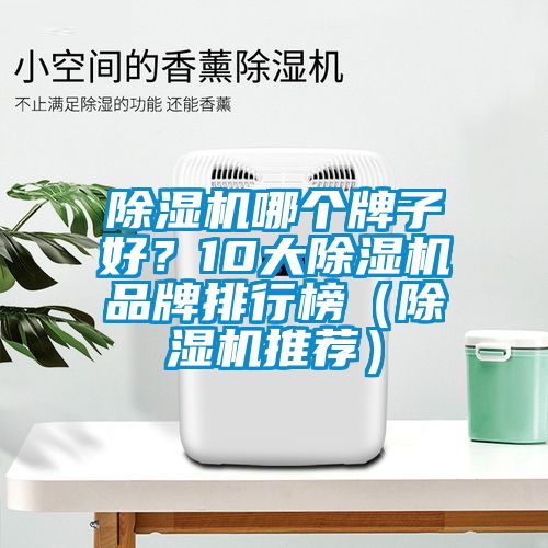 除濕機(jī)哪個牌子好？10大除濕機(jī)品牌排行榜（除濕機(jī)推薦）