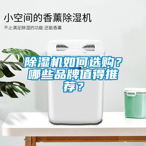 除濕機(jī)如何選購？哪些品牌值得推薦？