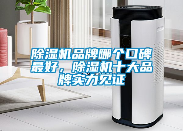 除濕機品牌哪個口碑最好，除濕機十大品牌實力見證