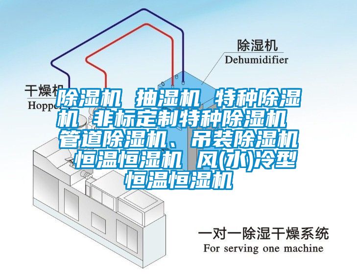 除濕機 抽濕機 特種除濕機 非標(biāo)定制特種除濕機 管道除濕機、吊裝除濕機 恒溫恒濕機 風(fēng)(水)冷型恒溫恒濕機