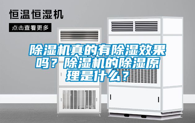 除濕機(jī)真的有除濕效果嗎？除濕機(jī)的除濕原理是什么？