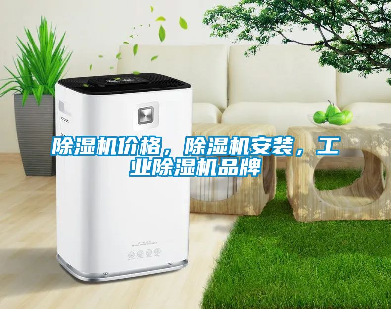 除濕機價格，除濕機安裝，工業(yè)除濕機品牌