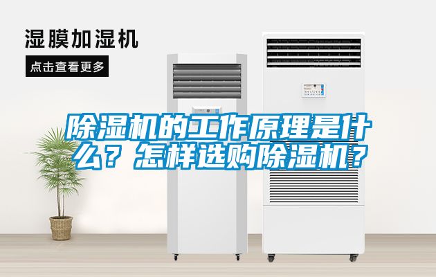 除濕機(jī)的工作原理是什么？怎樣選購除濕機(jī)？