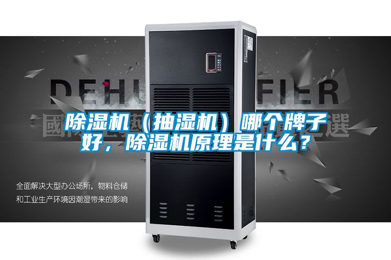 除濕機（抽濕機）哪個牌子好，除濕機原理是什么？