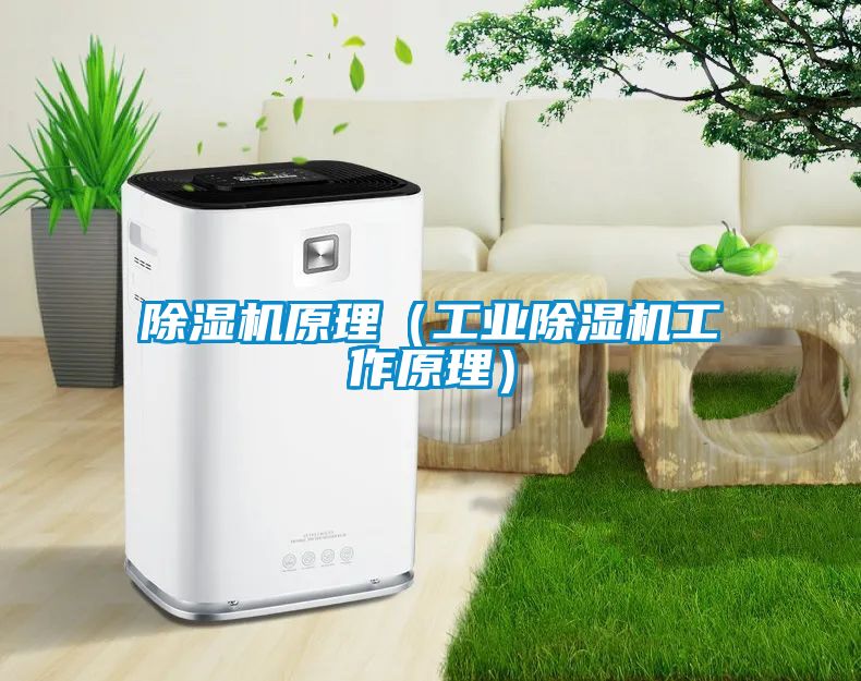 除濕機原理（工業(yè)除濕機工作原理）