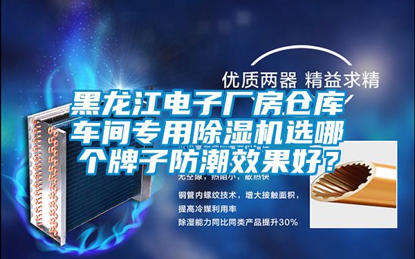 黑龍江電子廠房倉庫車間專用除濕機選哪個牌子防潮效果好？