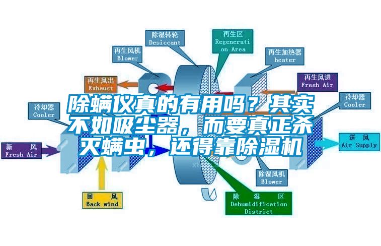 除螨儀真的有用嗎？其實不如吸塵器，而要真正殺滅螨蟲，還得靠除濕機(jī)